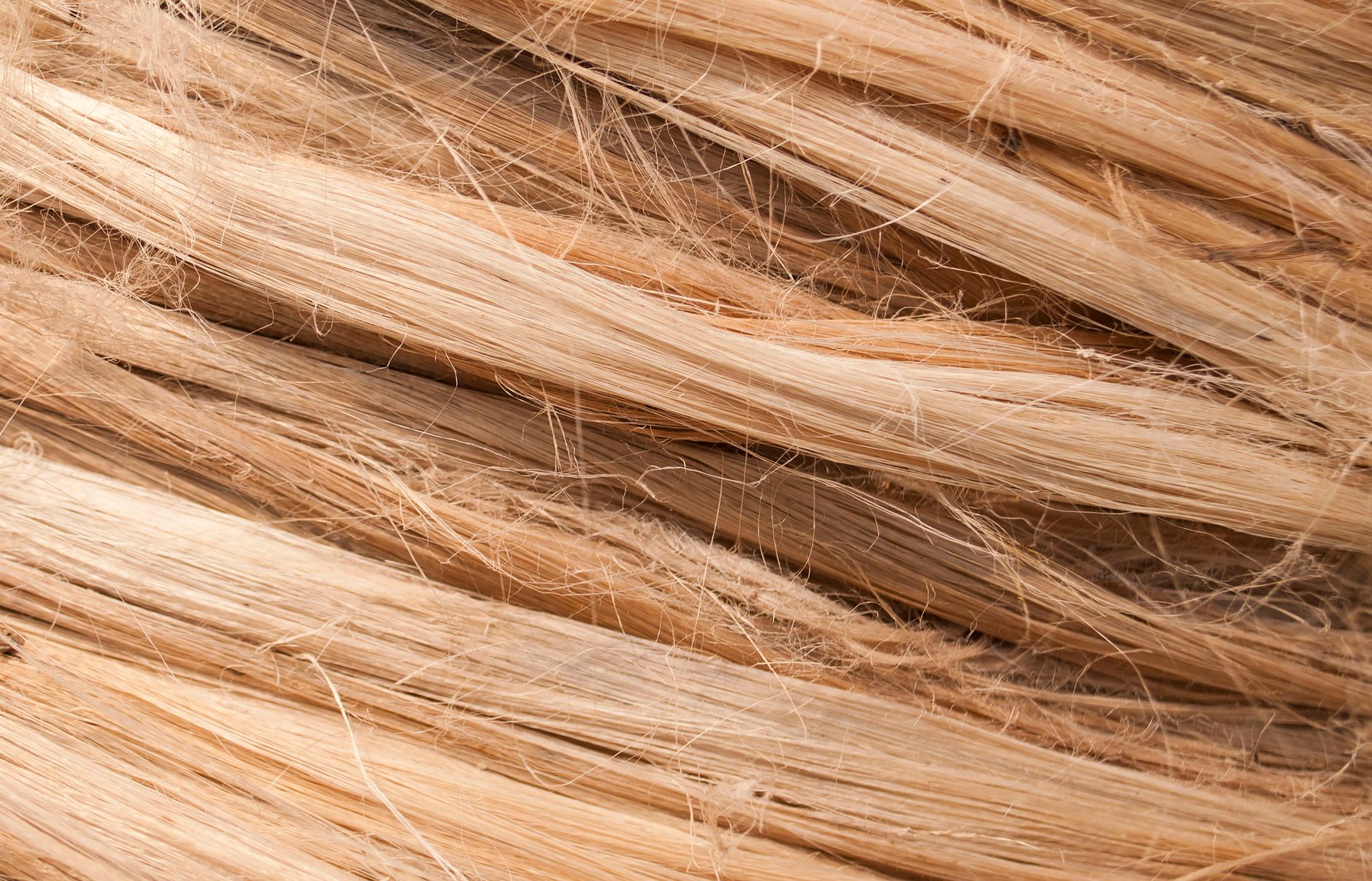B&YOU Pure Fibre : une offre à 24,99€ vraiment compétitive ?