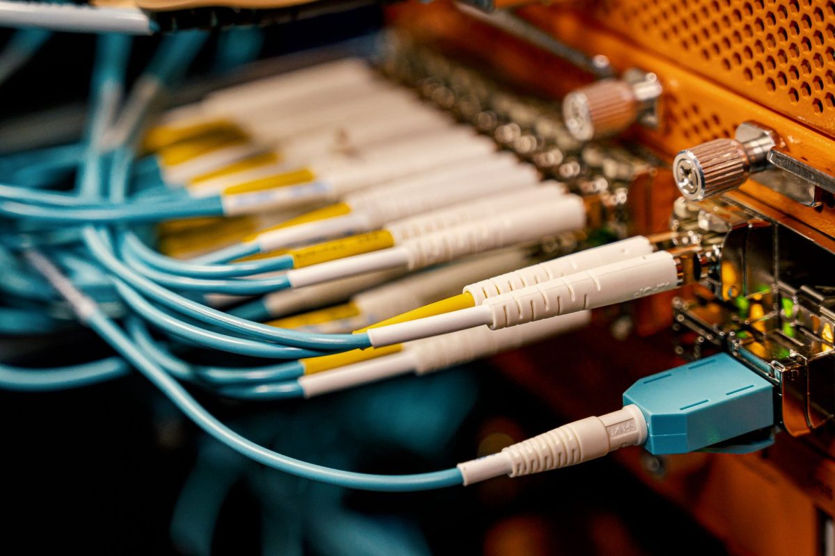 Pannes de fibre : pourquoi les rats ne sont pas les seuls coupables