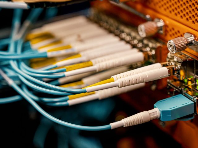 Pannes de fibre : pourquoi les rats ne sont pas les seuls coupables